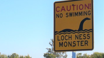 ‘Most Compelling Surface Images’ Ever Taken Of The Loch Ness Monster Released
