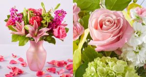 Shop Mother's Day flowers on sale at Proflowers