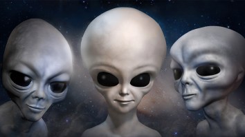 Vegas Family Says Paranormal Events Have Occurred Since 10 Foot Aliens Appeared In Their Backyard
