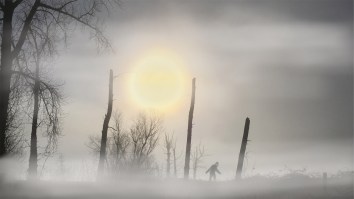 Multiple Witnesses Claim ‘Bigfoot’ Stalked Them In A UK National Park