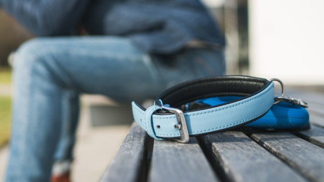 dog owner sitting on bench with pet collar