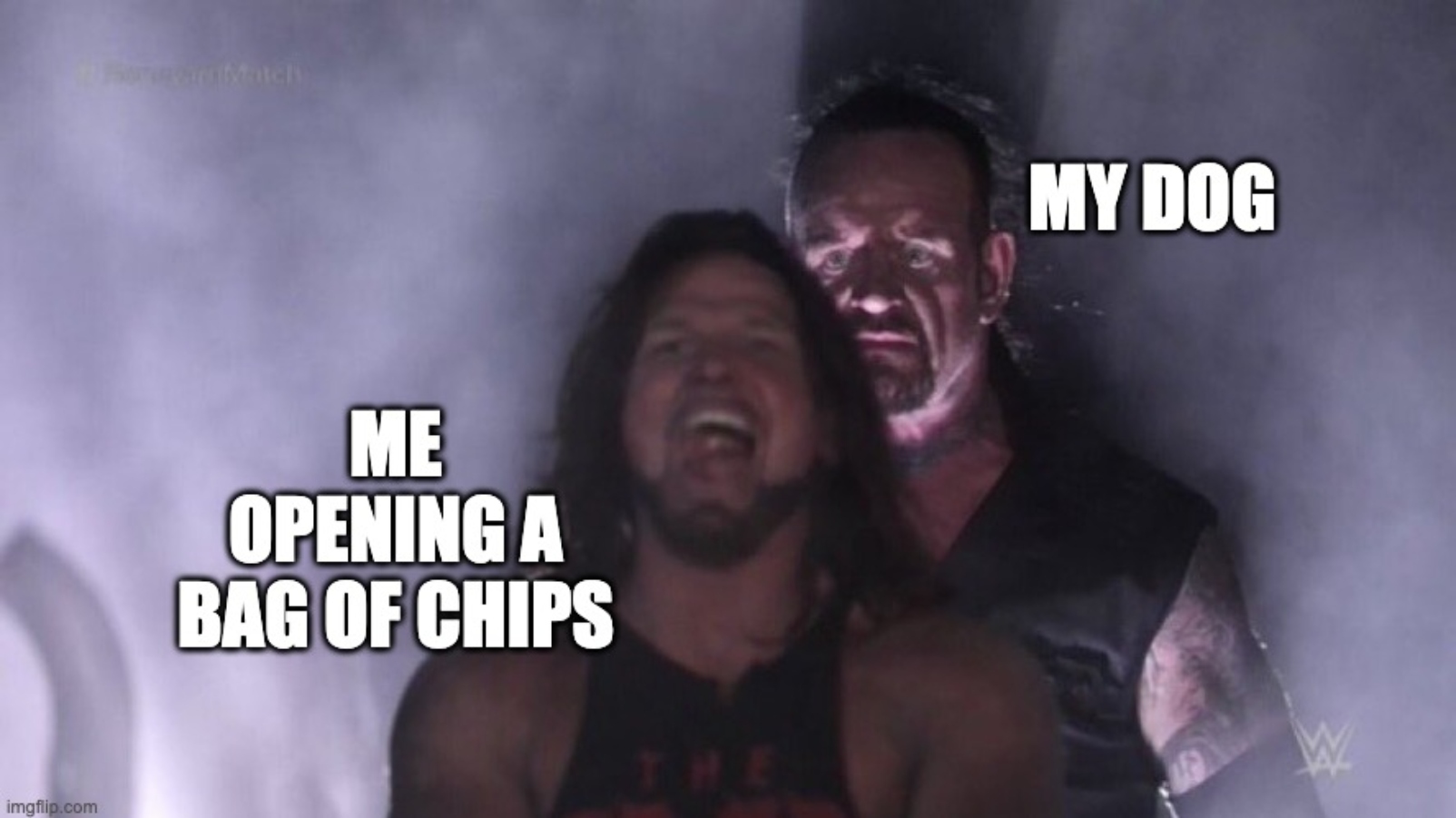 hilarious meme about The Undertaker and dogs