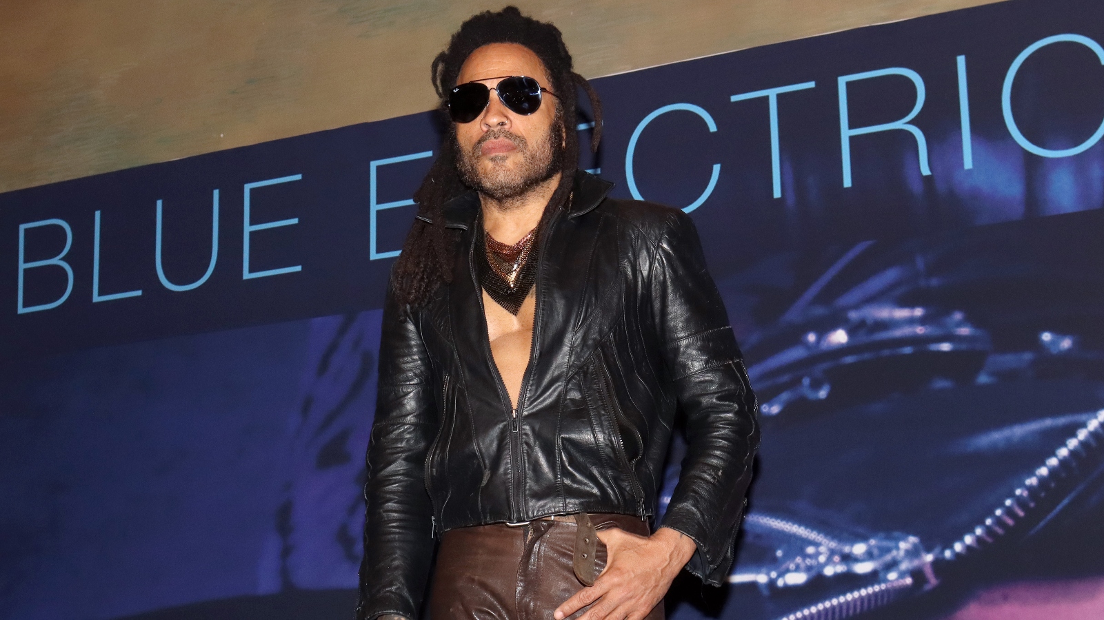 Lenny Kravitz on the red carpet in 