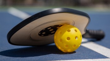 Pro Pickleball Player Dragged By Andy Roddick And Nick Kyrgios For Claiming It Requires More Skill Than Tennis