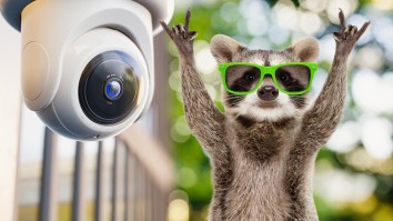 Dad Attacked By A Raccoon While Holding His Toddler Goes Viral After Doorbell Camera Reveals Comedy Of Errors