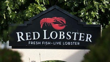 Red Lobster Is Reportedly On The Verge Of Bankruptcy So Get Your Cheddar Bay Biscuits While You Still Can