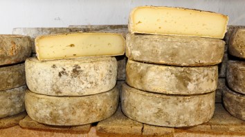 NYU Law Student Spent Over $10,000 On Rehab For An Addiction To Cheese