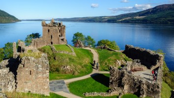 ‘Hump-Like Objects’ Spotted On Camera During Livestream Are The Loch Ness Monster, Says Expert
