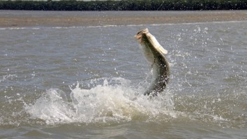 Australian Teen Catches Fish Worth $1M After Defying 9 Years Of Anglers Striking Out
