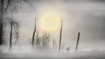 Two Witnesses Recall Encountering Bigfoot At Close Range In An Oregon Forest