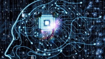 Scientists Were Able To Connect 16 Mini Brains Together To Create A Small ‘Biocomputer’