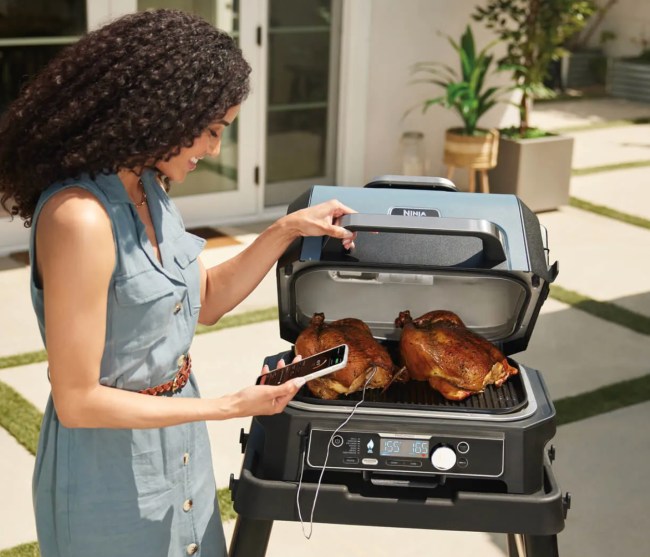 Ninja Woodfire XL Grill