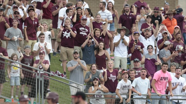 Texas A&M baseball fans cheer during a game vs. Davidson.