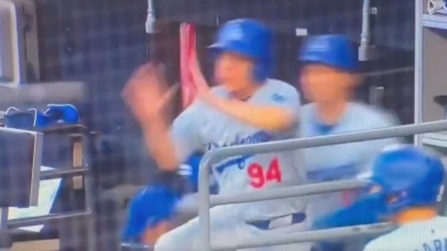 ballboy protecting shoehei ohtain