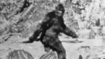 ‘Baby Bigfoot’ Captured On Camera Interacting With Deer In The Woods
