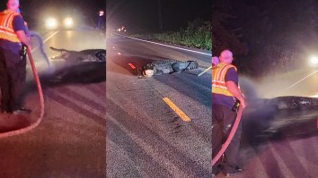 Cops Call Firemen For Backup To Remove 12ft Alligator Lunging At Passing Cars