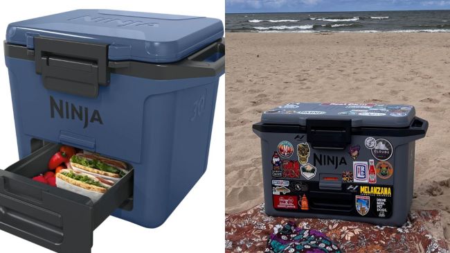 Ninja FrostVault Hard Coolers