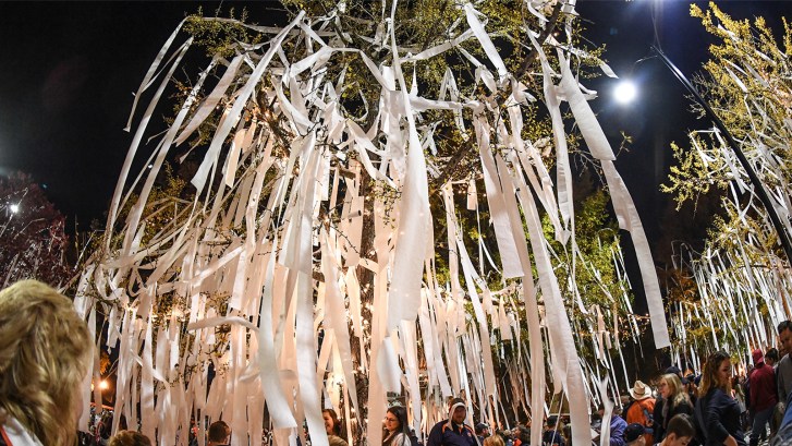 Toomer's Corner Oaks
