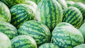 $5 Million Worth Of Meth Disguised As Watermelons Seized By U.S. Border Control