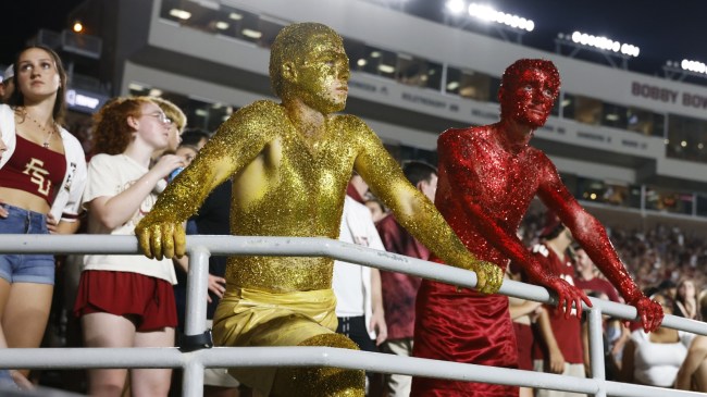 Florida State fans watch on during a game vs. Boston College.