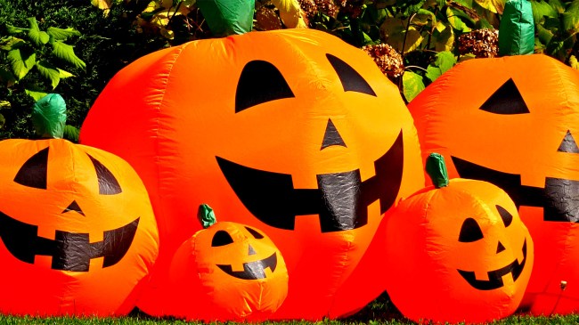Inflatable pumpkins jack-o-lanterns for Halloween