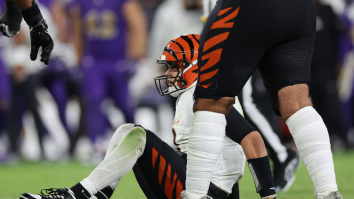 Refs Miss Two Obvious Penalties At End Of Ravens-Bengals Game & Bengals Fans Are Furious