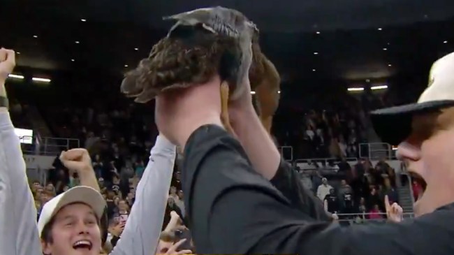 Duck at Providence College basketball game