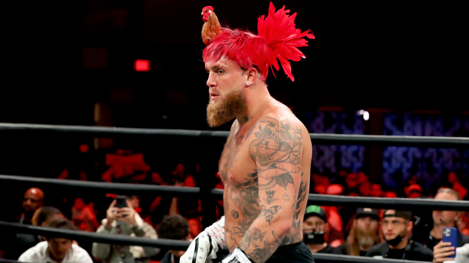 Jake Paul wearing a red chicken hat