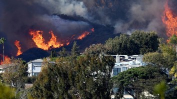 LA Investor Who Bragged About Not Paying Taxes Asks For ‘Private Firefighters’ During Southern California Fires