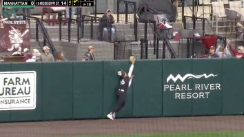 College Baseball Player Gets Obliterated Like A Cartoon During Failed Attempt To Rob Home Run (VIDEO)