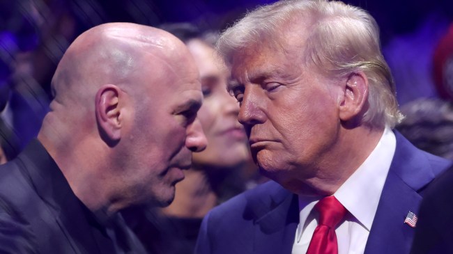 UFC founder Dana White and Donald Trump
