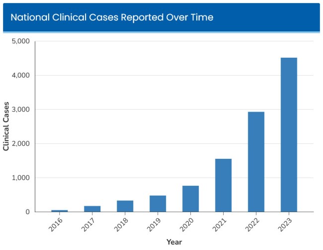 National Clinical Cases C auris