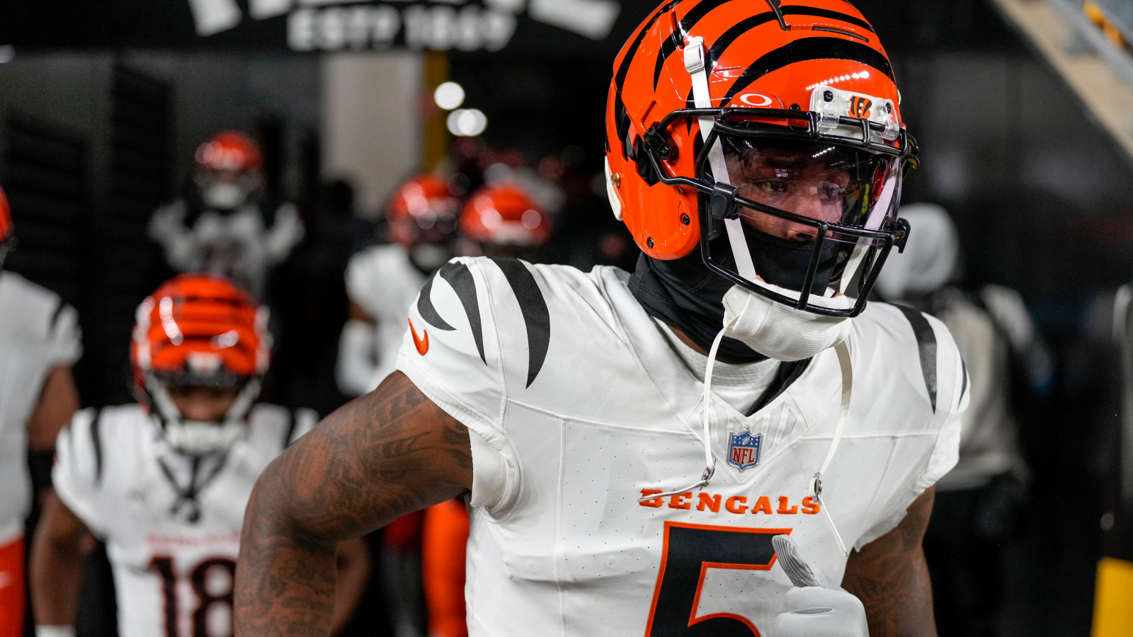 Tee Higgins