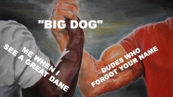 The Best Weekend Memes: 42 Of The Funniest Memes To Get Us Going Today