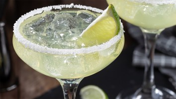 Snake Falls From Ceiling Of Virginia Restaurant, Lands In Woman’s Margarita