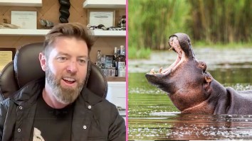 Forrest Galante Talks About The Two Times A Hippo Almost Killed Him