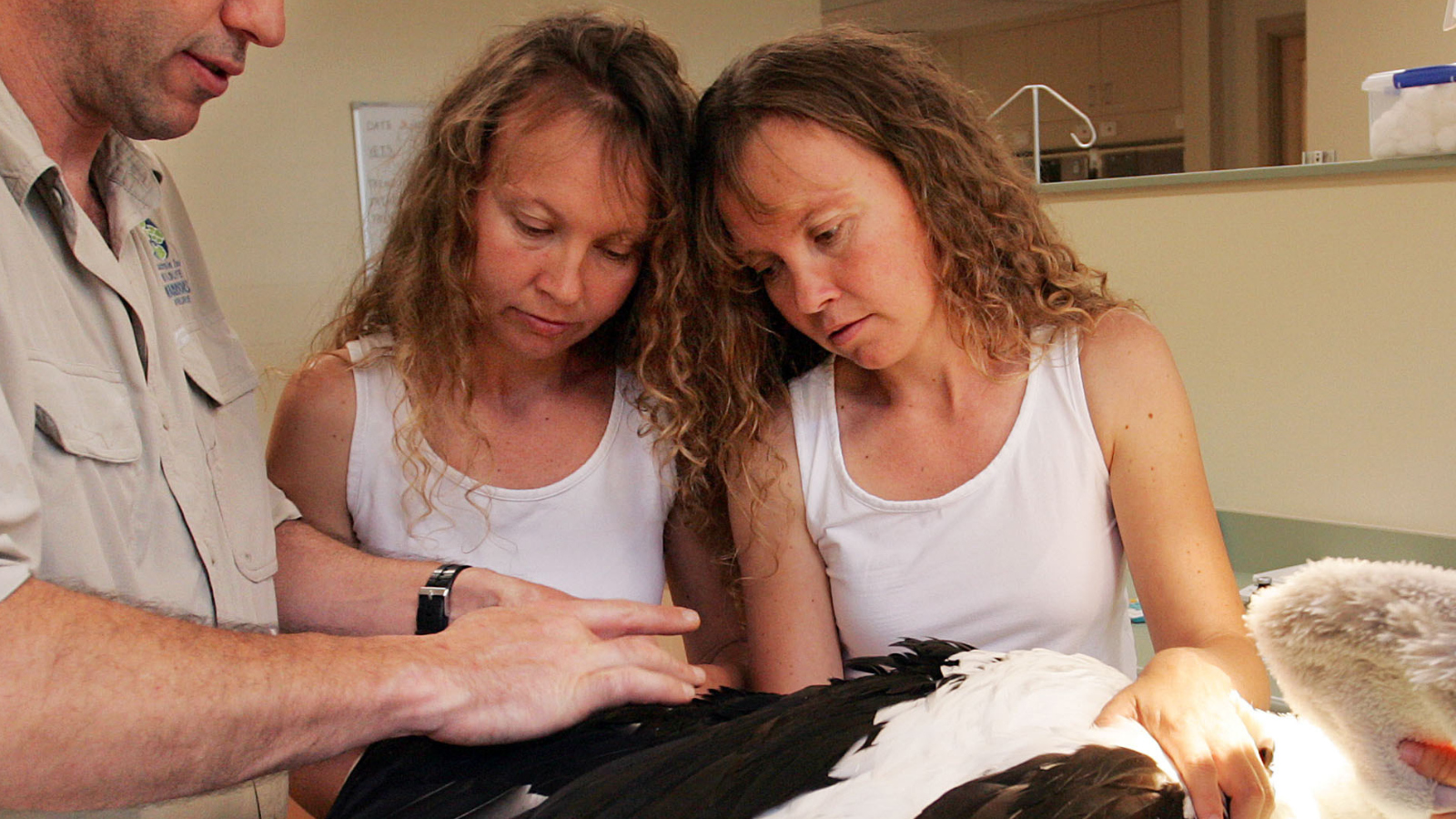 identical Australian Twins Bridgette and Paula Powers who gave TV interview in unison