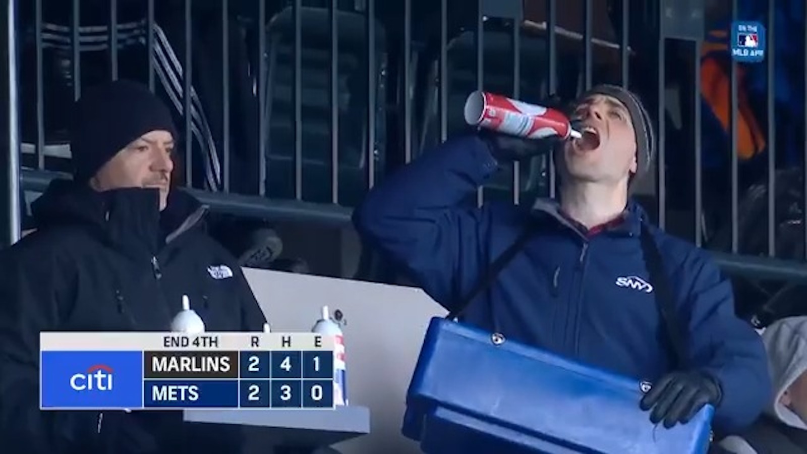 steve gelbs whipped cream