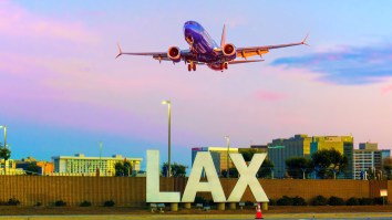 Someone Tried Sneaking $1.8 Million Worth Of Liquid Meth Through LAX In Dog Shampoo Bottles