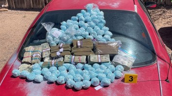 DEA Makes Largest Fentanyl Seizure In Department Of Justice History