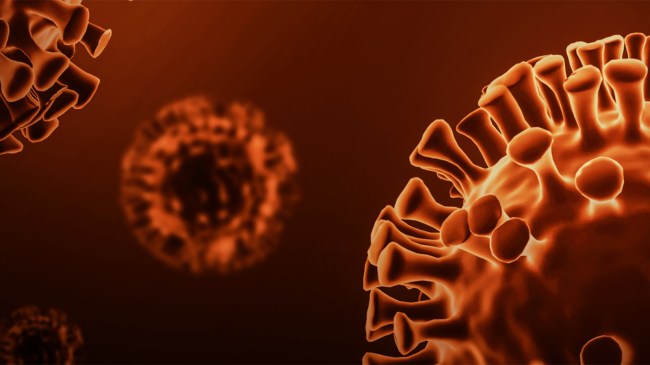 Measles-virus