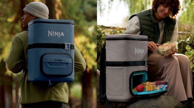 Ninja FrostVault backpack cooler