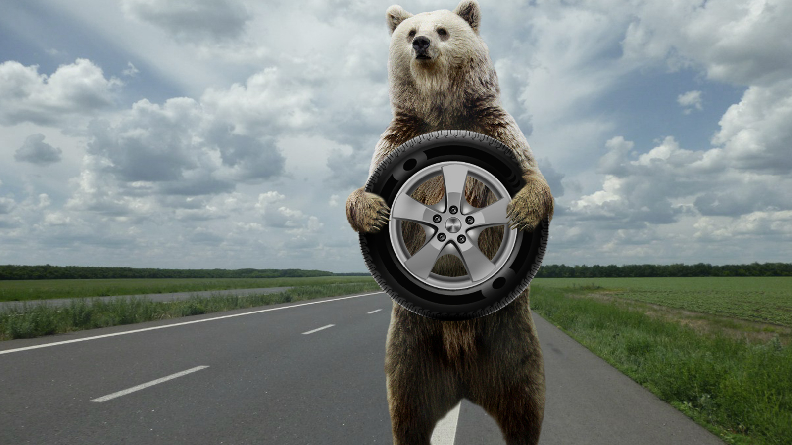 large bear standing upright holding a car tire
