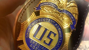 Feds Seize More Than $200 Million In Cash, 2 Tons Of Drugs In Record-Breaking Operation