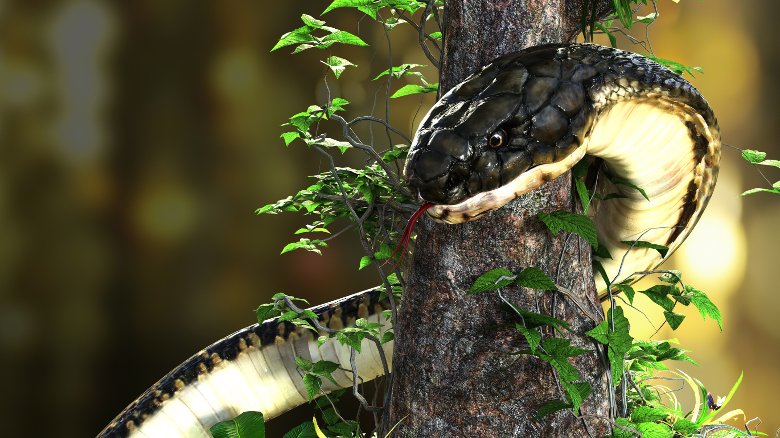 large king cobra snake wrapped around a tree