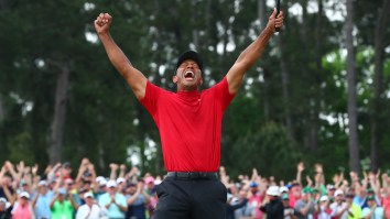 15 Of The Greatest Tiger Woods Quotes Of All Time