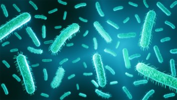 Officials Warn Ground Beef Sold At Whole Foods May Be Contaminated With E. Coli