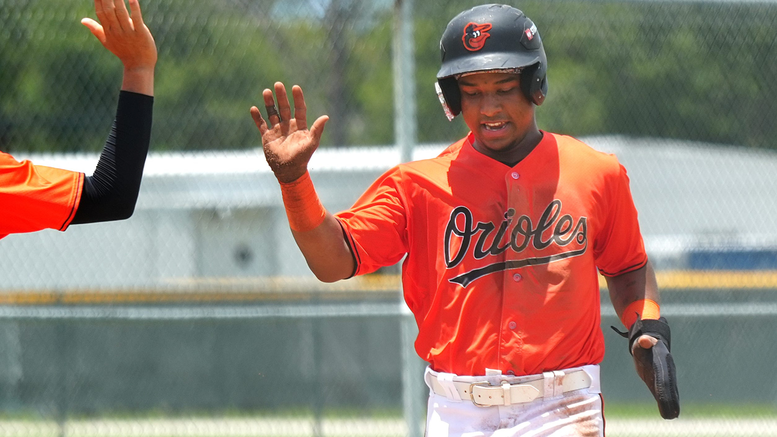 Baltimore Orioles prospect Luis Guevara