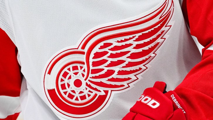 Red Wings logo on jersey