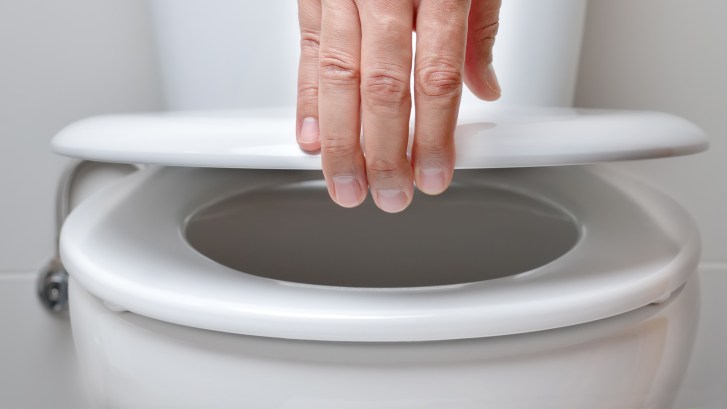 toilet